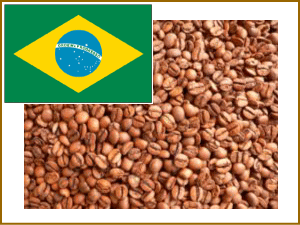 ブラジル JASオーガニックコーヒー 250ｇ