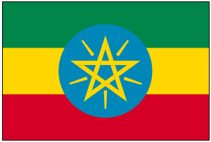 エチオピア モカ  500gパック [st005]